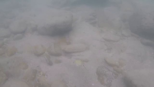 Ко Чанг - Вайт Сенд Бич смотреть онлайн