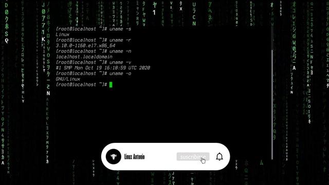 04 | CURSO DE LINUX - COMANDO UNAME смотреть онлайн