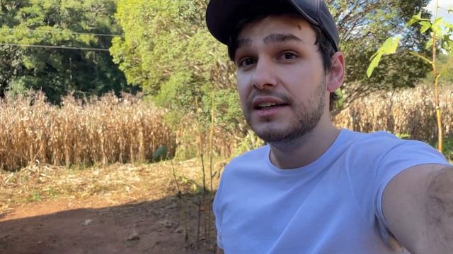 IPHONE 12 [Teste de Câmera 🎥] смотреть онлайн