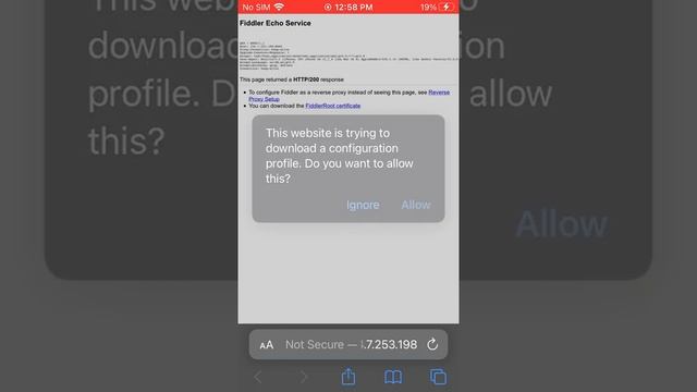 iPhone Open Menu Fmi Off Proxy Method смотреть онлайн