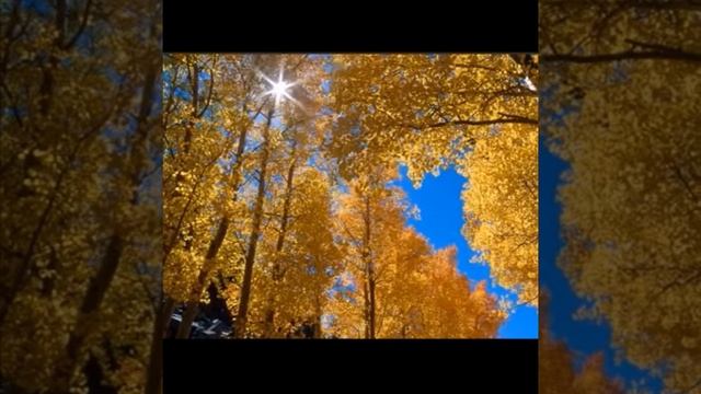 Вот и снова привычный октябрь..., Стихи Валерий Экс, муз. и исп. #СамуилФрумович смотреть онлайн