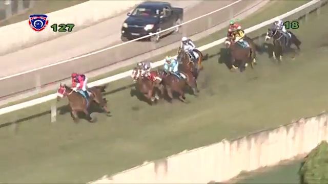 Chesters wish with jockey Sooful 1850m смотреть онлайн
