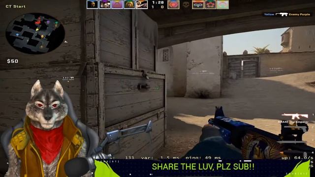 Watch me getting carried by a CSGO 1.6 PRO and another semi-pro hours #csgo #clutch #aim #headshot смотреть онлайн