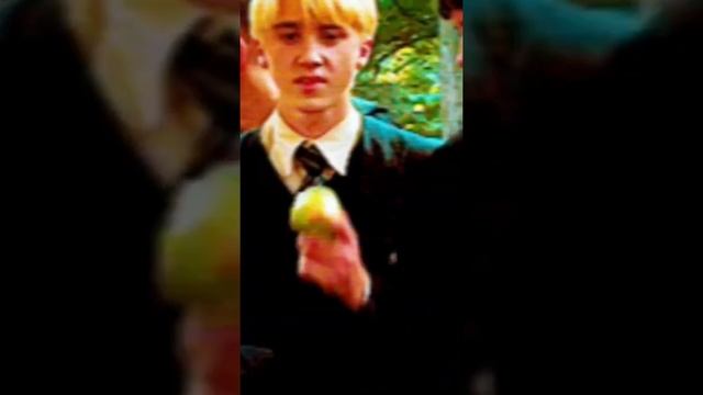 Гарри Поттер ,  идиот , Драко Малфой , закрой рот!