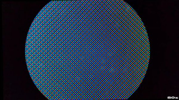 AMOLED Video Under Microscope