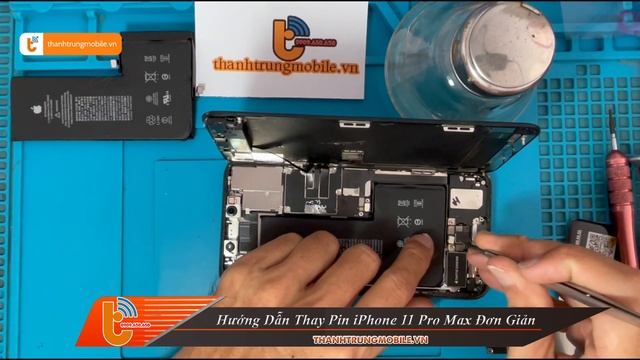 Hướng Dẫn Thay Pin iPhone 11 Pro Max Lấy Liền | Thành Trung Mobile смотреть онлайн
