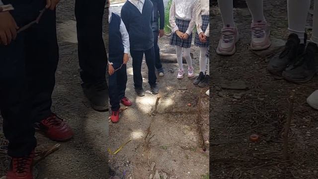 Kvadratın perimetri və sahəsinin hesablanması смотреть онлайн