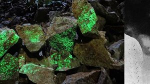 Кто такая МАРИЯ КЮРИ?