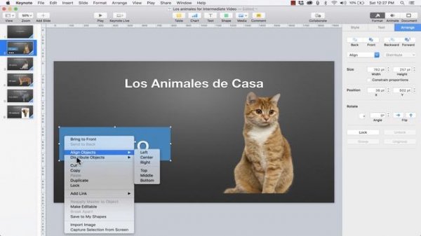 Intermediate Apple Keynote Skills