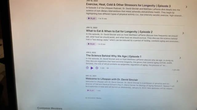 How to add live captions (subtitles) to a Podcast смотреть онлайн