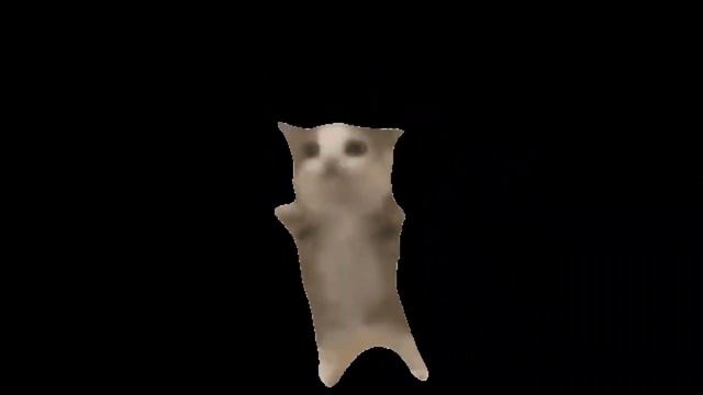 2024 meow cat iphone ringtone смотреть онлайн