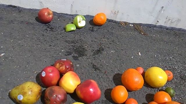 Fruit Insanity 1: Apples vs Oranges! The Definitive Guide for Complete Comparison of 🍎 and 🍊! смотреть онлайн