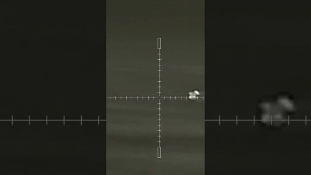 Охота на хищника продолжается #охота #тепловизор #ночнаяохота #.223rem #iray #ar15 смотреть онлайн