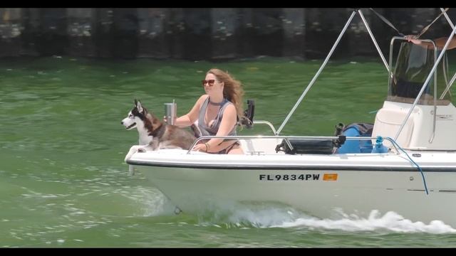 ⚠️WARNING⚠️ Not for the Weak❤️ Haulover Inlet Videos Miami смотреть онлайн