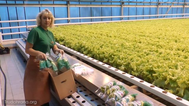 Инструкция для овощевода смотреть онлайн