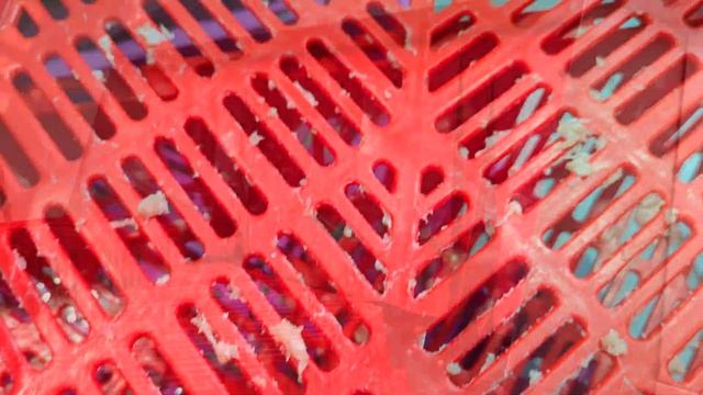 Обзор машины мойки для ящиков разных размеров - LUREA Prewash TEC1200 | Industrial crate washer смотреть онлайн