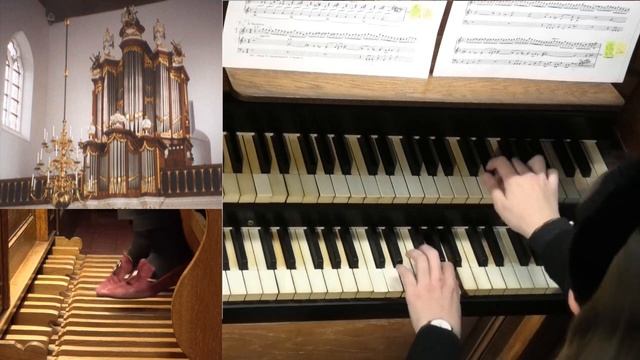 Hugo Distler Partita Nun komm, der Heiden Heiland - Francesca Ajossa, orgel Abdijkerk Den Haag смотреть онлайн