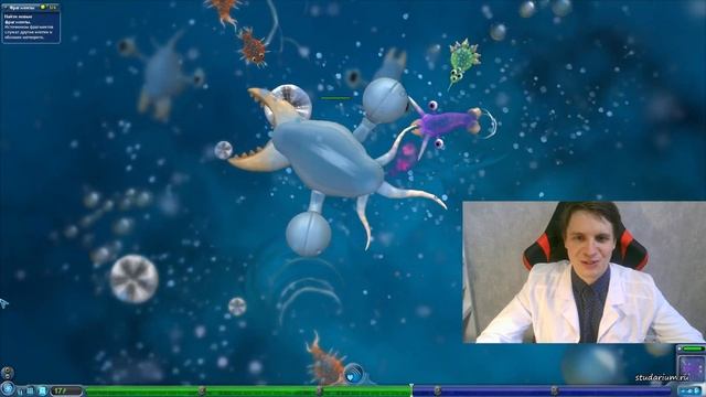Легендарный Spore 🚀🌌 Научный летсплей от Юрия Беллевича 💚😍 смотреть онлайн