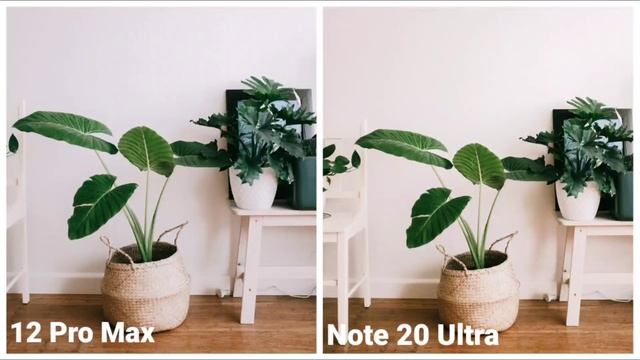Apple iPhone 12 Pro Max VS Samsung Note 20 Ultra | Camera Comparison смотреть онлайн