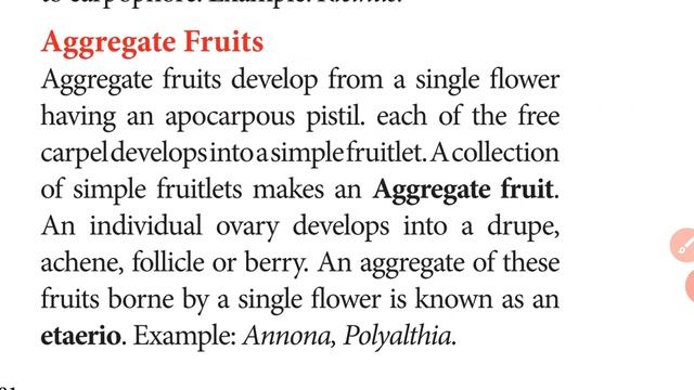 +1 BOTANY CHAPTER 4 FRUITS&SEEDS смотреть онлайн