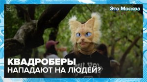 Кто такие квадроберы| Это Москва— Москва24|Контент