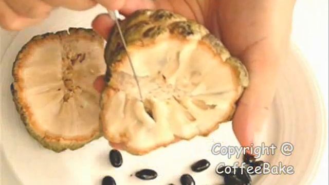 แกะเมล็ดน้อยหน่ากะทิสด( How to seed Sugar Apple ) смотреть онлайн