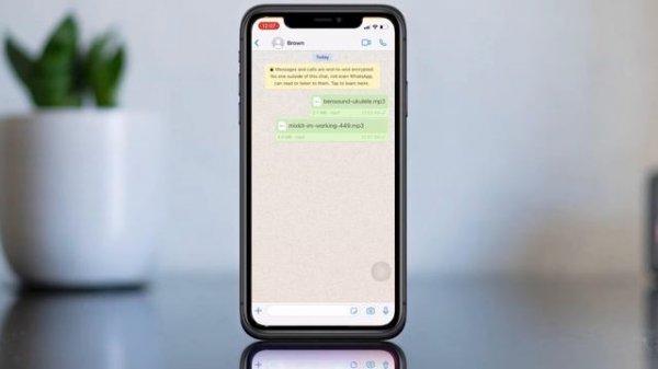 How to transfer music files on WhatsApp from iPhone
