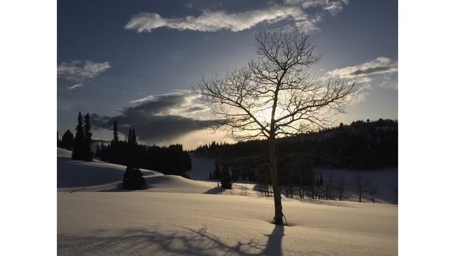 10 Essential Photo Editing Techniques For Creating Incredible iPhone Photos That Everyone Adores смотреть онлайн