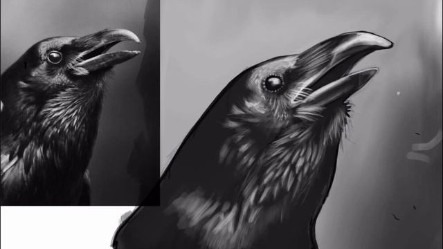 Raven Drawing using the iPad Pro and Apple Pen (first test). смотреть онлайн