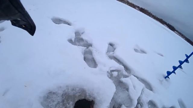 Бонус НЕ ЛЕЗЕТ в лунку! Супер-рыбалка в глухозимье! Куча рыбы на мормышку! Рыбалка 2020! смотреть онлайн