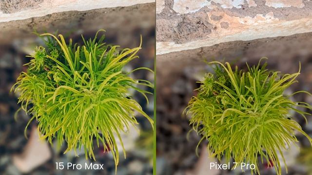 iPhone 15 Pro Max vs Google Pixel 7 Pro Camera Test смотреть онлайн