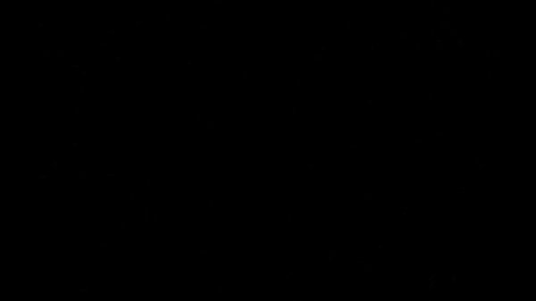 Fresh Sans Sings Bad Apple V2