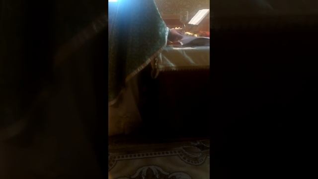 VID 20160508 102516 смотреть онлайн