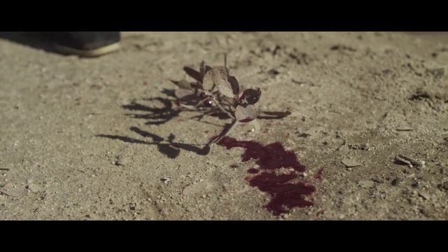 Тени крипты смотреть онлайн
