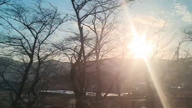 Ulsan pugiyo hai ta .. day 1 part 2 .... indian restaurant ma nepali harule ramailo gareko смотреть онлайн