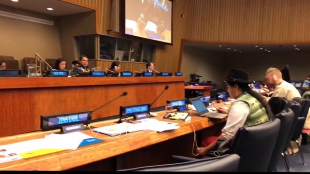 Intervención de Brooklyn Rivera UNPFII Abril 20, 2018 смотреть онлайн