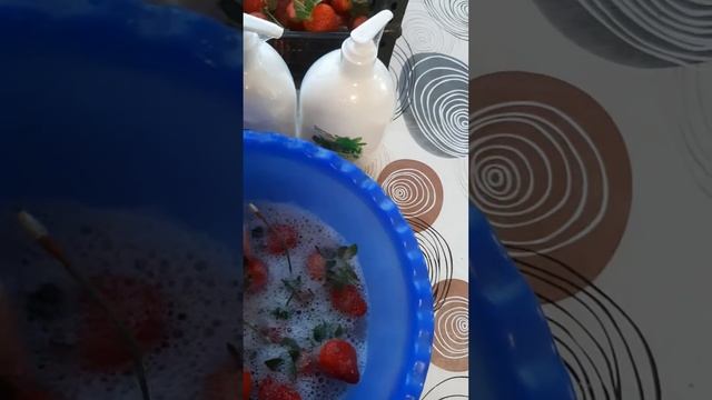 Green мыло для кухни Siberian Wellness #клубника #мыло #сибирскоездоровье #siberianwellness