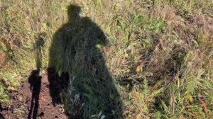 12-10-2024. Копаю металл на выбитых местах.