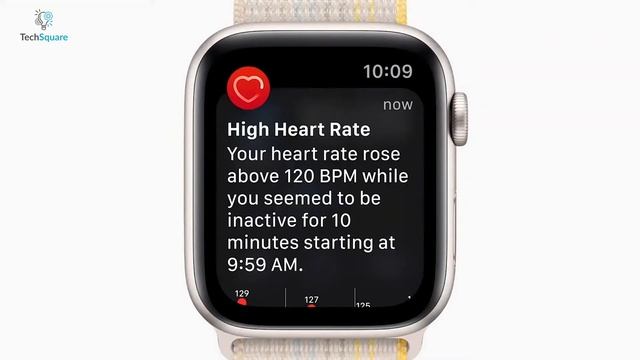 Apple Watch Series 8 vs Watch SE - Affordable is Better? смотреть онлайн