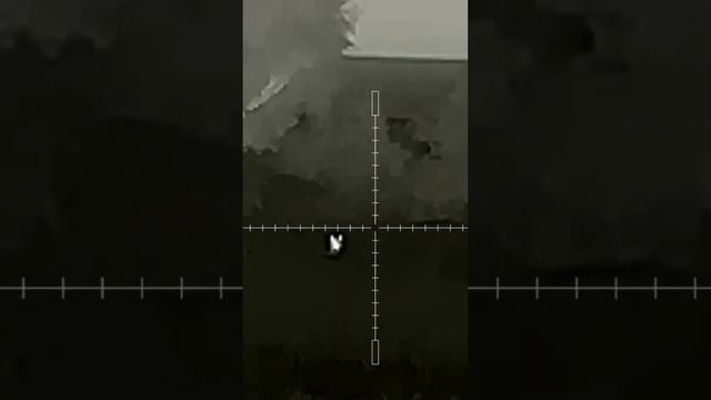 Открытие охоты на шакала 2024#охота #ночнаяохота #природа #охотанашакала смотреть онлайн