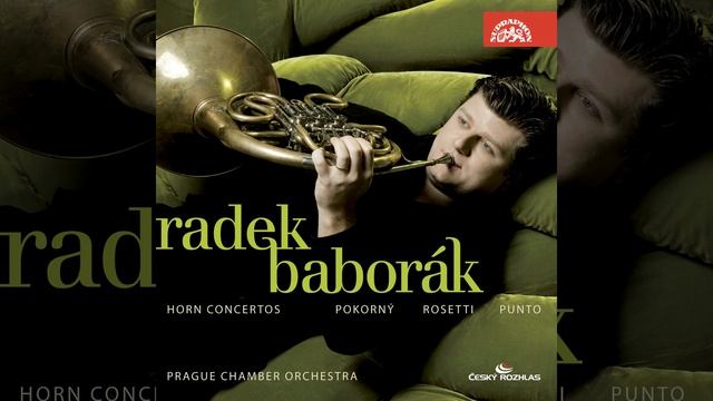 Concerto for French Horn and Orchestra No. 1 in E flat major - Allegro molto смотреть онлайн