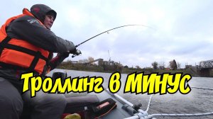 Троллинг в минус