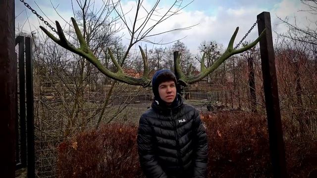 Калининградский зоопарк, серия 1 смотреть онлайн