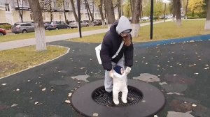 прогулка с реборном Лиамом/реборн