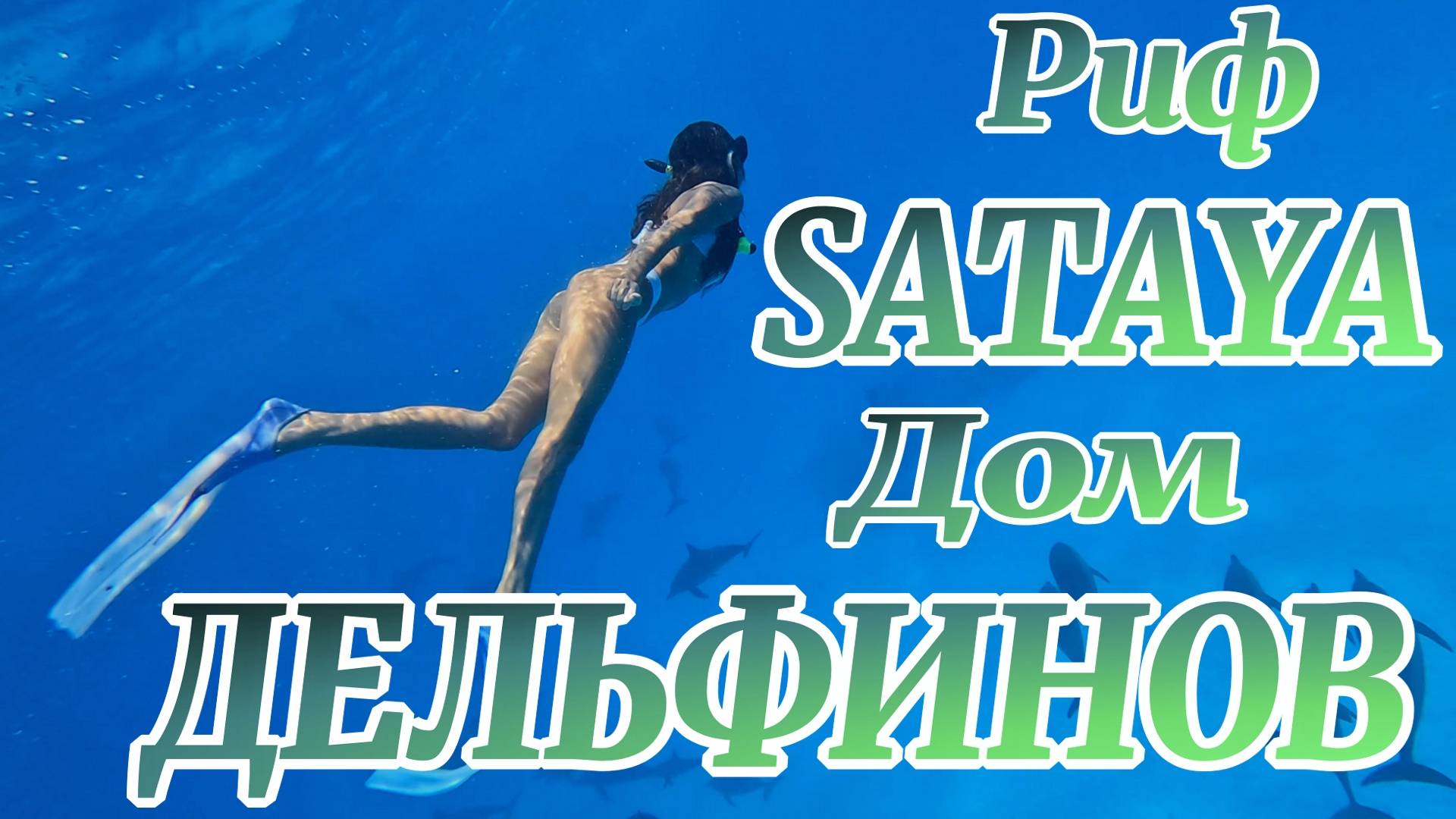 РИФ САТАЙЯ ДОМ ДЕЛЬФИНОВ / MARSA ALAM/ ЕГИПЕТ #egypt #египет #рифсатайя #домдельфинов #марсаалам смотреть онлайн