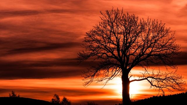 Richard Addinsell: 'Warsaw' Concerto - Cristina Ortiz - Royal Philharmonic Orchestra - Moshe Atzmon смотреть онлайн