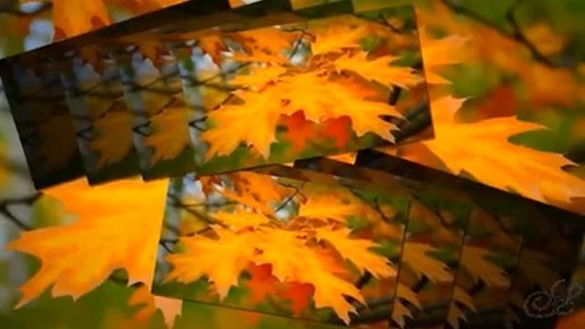 Рукой прикрываю глаза..., Стихи Ирина Вириитина, муз. и исп. #СамуилФрумович смотреть онлайн