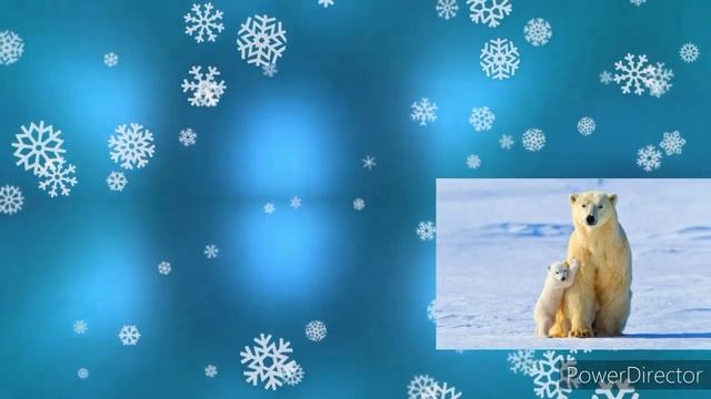 Ольга Мигуш-Колыбельная медведицы. смотреть онлайн