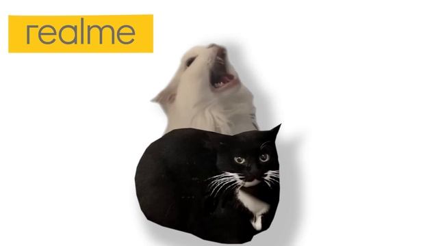 Maxwell Cat but famous phone ringtones смотреть онлайн
