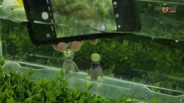 2 In 1 PC PET IP68 Waterproof Shockproof Snowproof Dustproof Case For iPhone 7 Plus 5.5 Inch смотреть онлайн